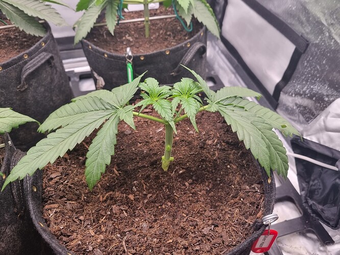 Growreport Bild 26