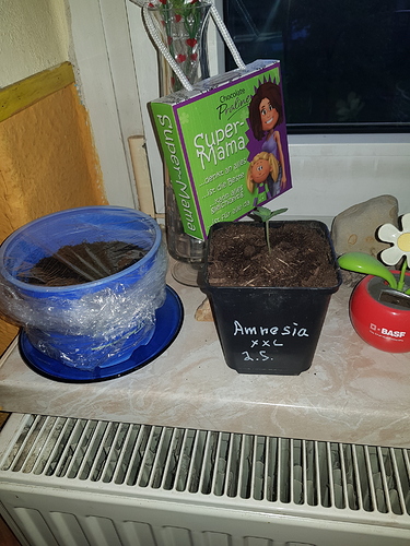 Growreport Bild 5