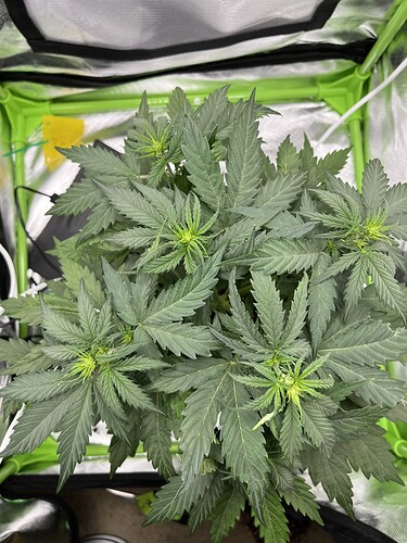 Growreport Bild 12