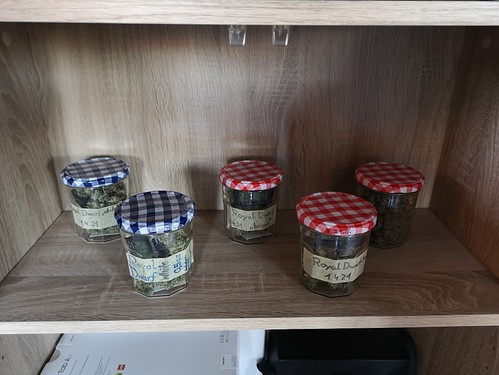 Growreport Bild 18