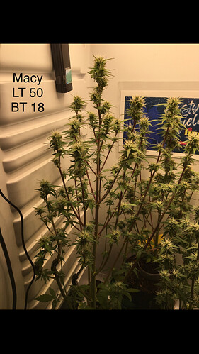 Growreport Bild 17