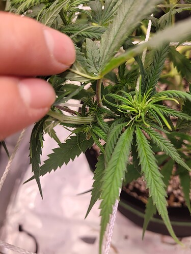 Growreport Bild 6