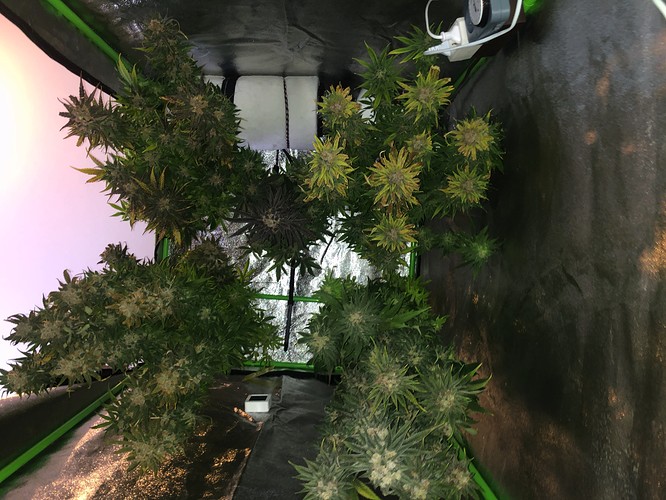 Growreport Bild 2