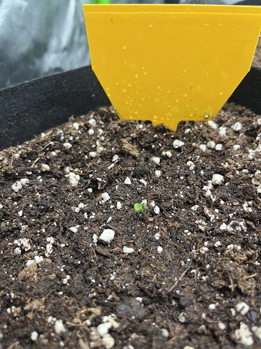 Growreport Bild 5