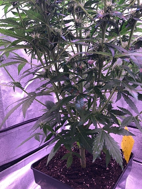 Growreport Bild 11