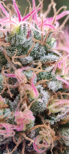 Growreport Bild 12