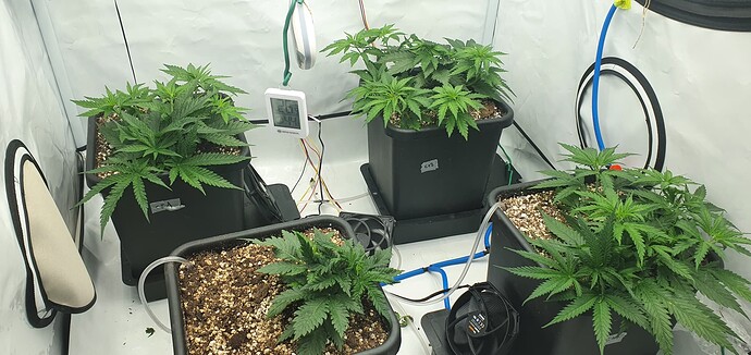 Growreport Bild 8