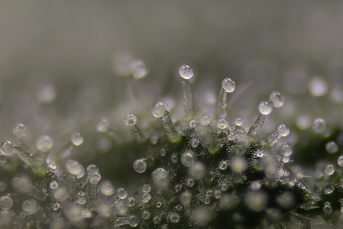 Finish 2280-2285-editraw