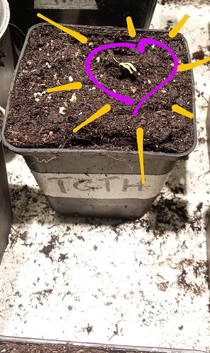 Growreport Bild 2