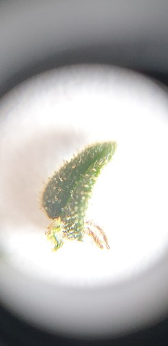 Growreport Bild 8