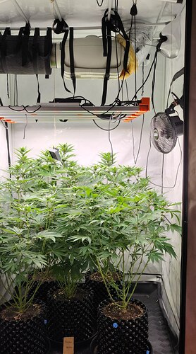 Growreport Bild 1
