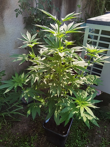 Growreport Bild 11