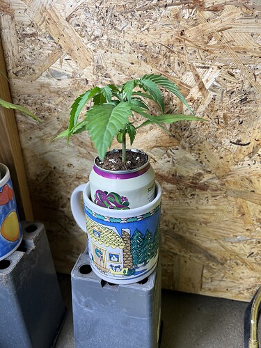 Growreport Bild 16
