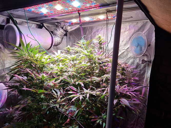 Growreport Bild 11