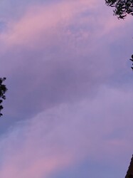 Growreport Bild 7