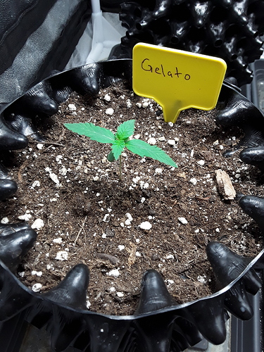 Growreport Bild 10