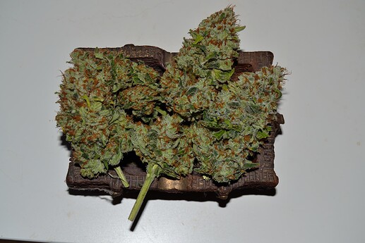 Growreport Bild 4