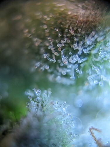 PXL_20230714_101254875