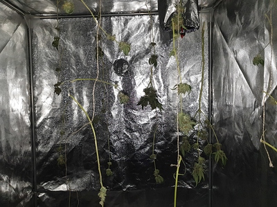 Growreport Bild 23