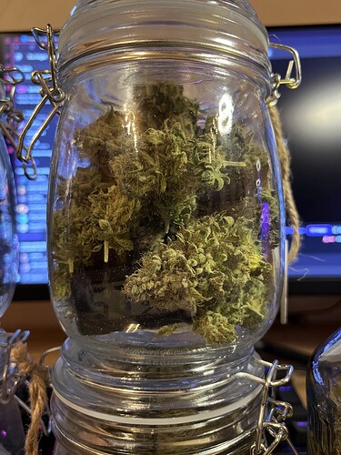 Growreport Bild 8