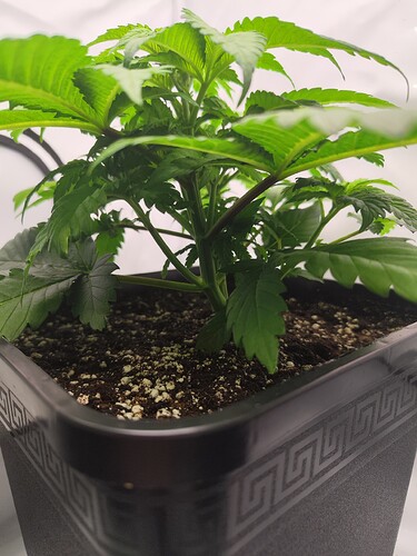 Growreport Bild 14