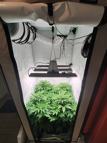 Growreport Bild 12