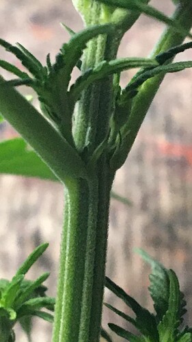 Growreport Bild 11