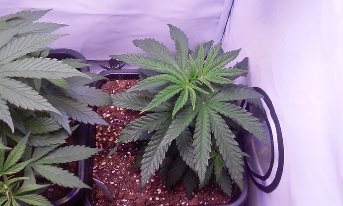 Growreport Bild 24