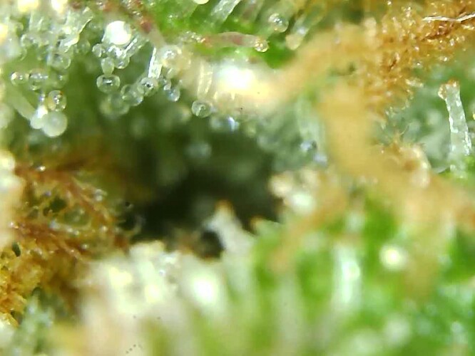 Growreport Bild 16