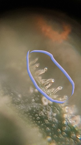 20220103_143534