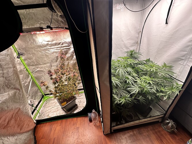 Growreport Bild 1