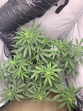 Growreport Bild 14