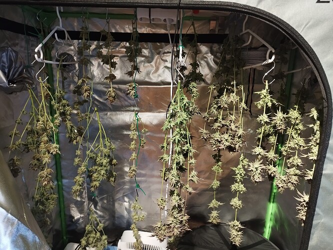 Growreport Bild 9