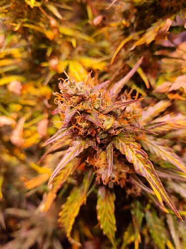 Growreport Bild 16