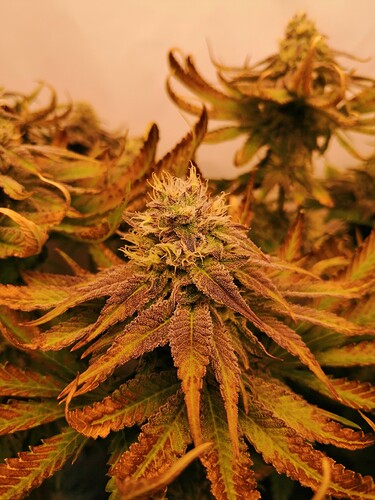 Growreport Bild 10