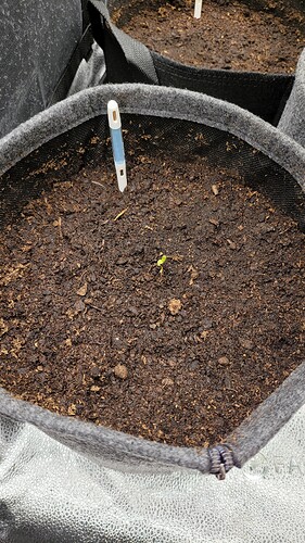 Growreport Bild 60