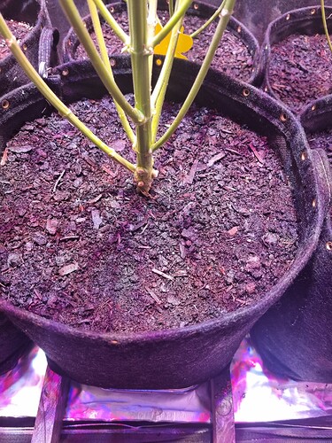 Growreport Bild 16