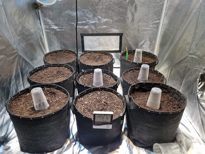 Growreport Bild 1