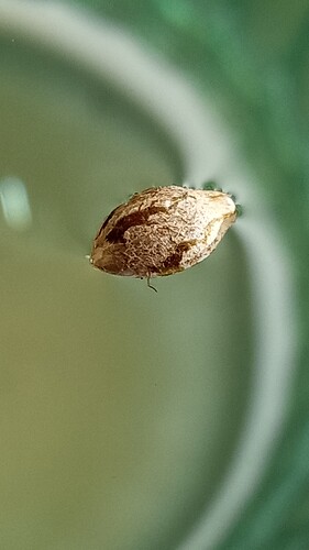 Growreport Bild 16