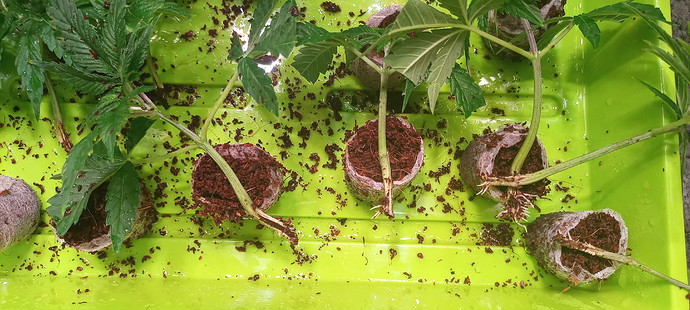Growreport Bild 21