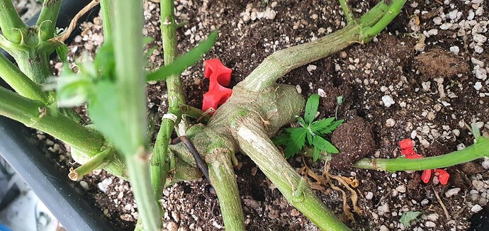 Growreport Bild 14