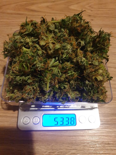 Growreport Bild 4