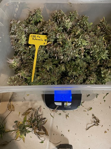 Growreport Bild 5