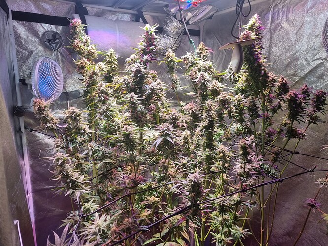 Growreport Bild 15