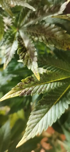 Growreport Bild 20