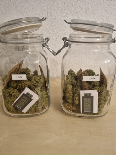 Growreport Bild 9