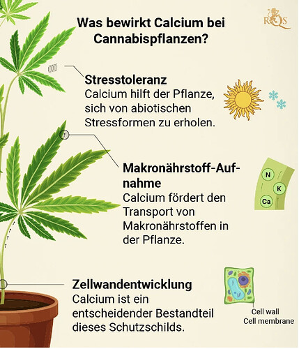 Growreport Bild 12