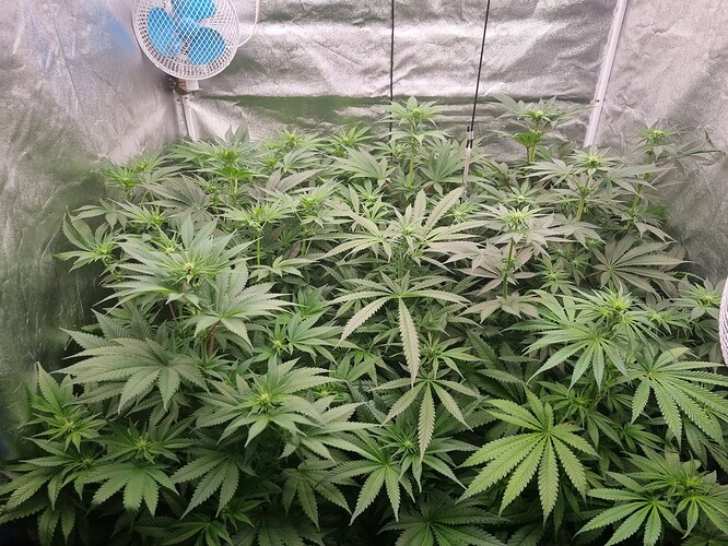 Growreport Bild 26