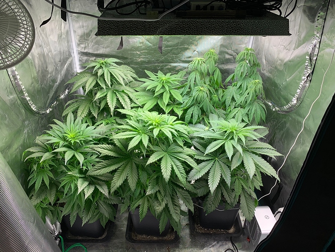 Growreport Bild 9
