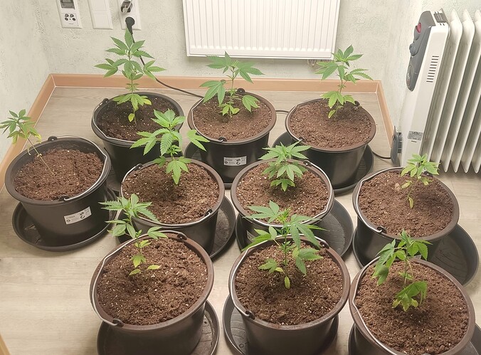 IMG_20230212_100214-01